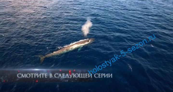 Глининков и Мадина встретили кита в 3 серии шоу Холостяк